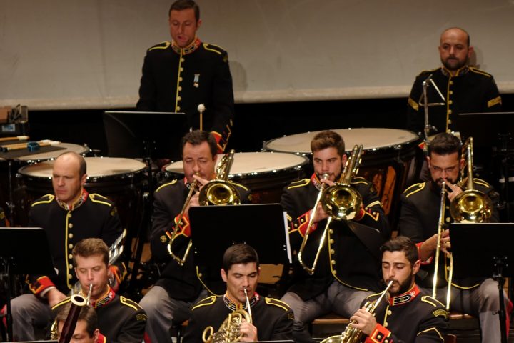 concerto_tagv 1 Custom